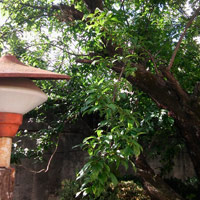 VILLA SOLDATI